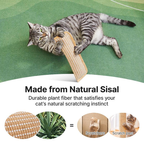 🐱 Interactive Catnip Chew Toy for Active Indoor Cats