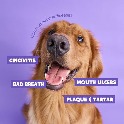 🔥Seurico™ Teeth Cleaning Spray with Oral Probiotics for Dogs & Cats