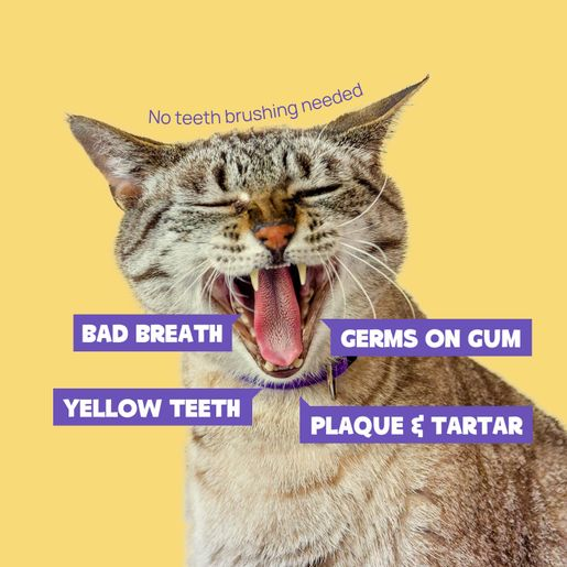 🔥Seurico™ Teeth Cleaning Spray with Oral Probiotics for Dogs & Cats