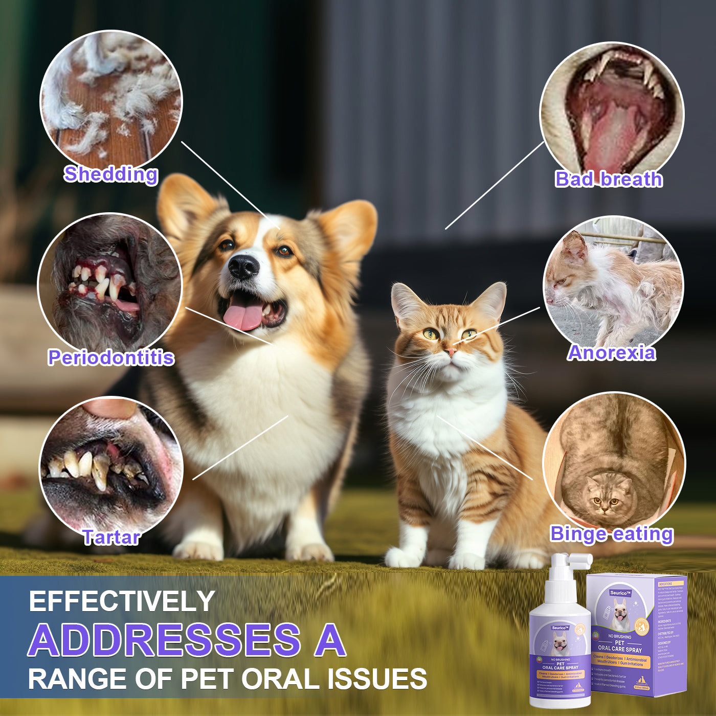 🔥Seurico™ Teeth Cleaning Spray with Oral Probiotics for Dogs & Cats