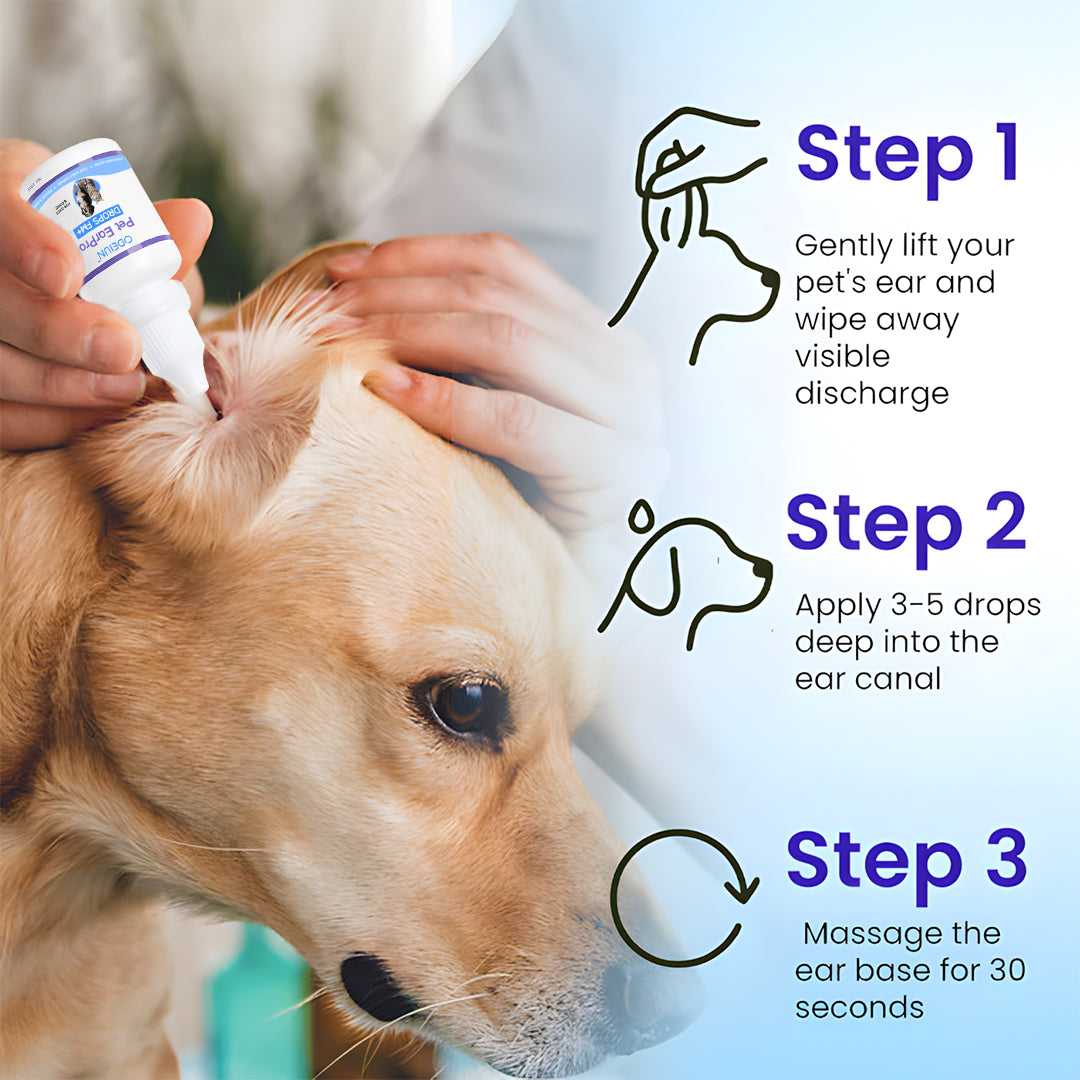 🩺 ODEIUN® Pet EarPro Drops FM+ | Vet-Grade Treatment for Mites, Yeast & Bacteria